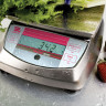 Порционные весы Ohaus Valor 3000 Xtreme V31XH2